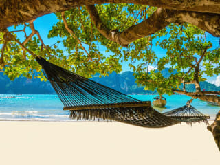 Which Caribbean Island Are You?