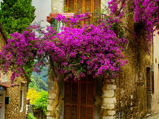 South of France - The insider's guide