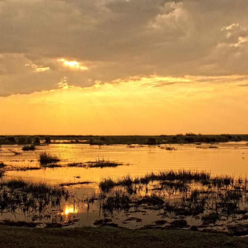 Sunset - Makgadikgadi and the Kalahari