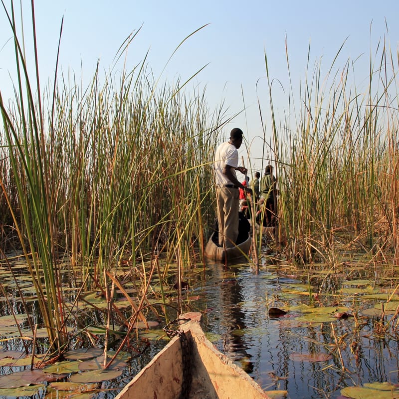Mokoro - Okavango Delta and Moremi