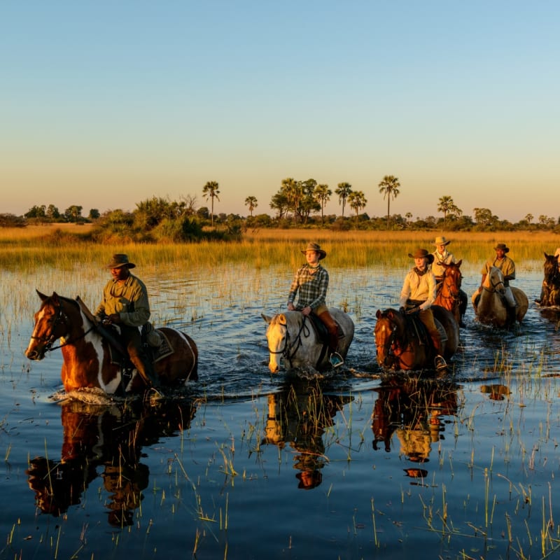 Horseback safari - Okavango Delta and Moremi