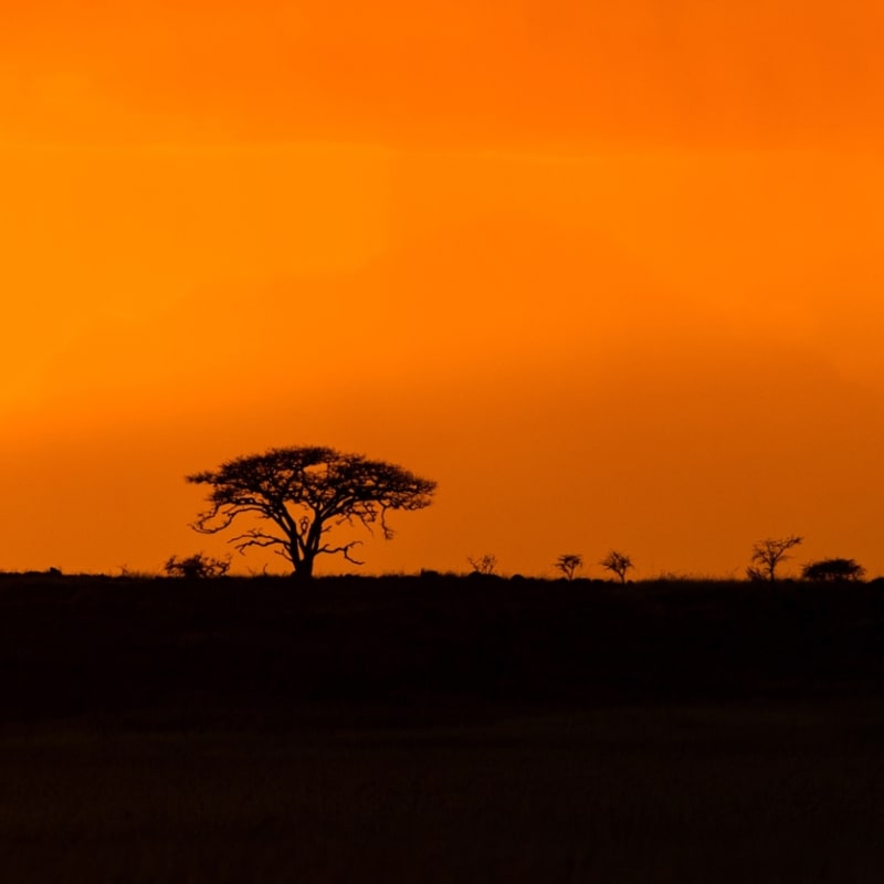 Great Rift Valley
