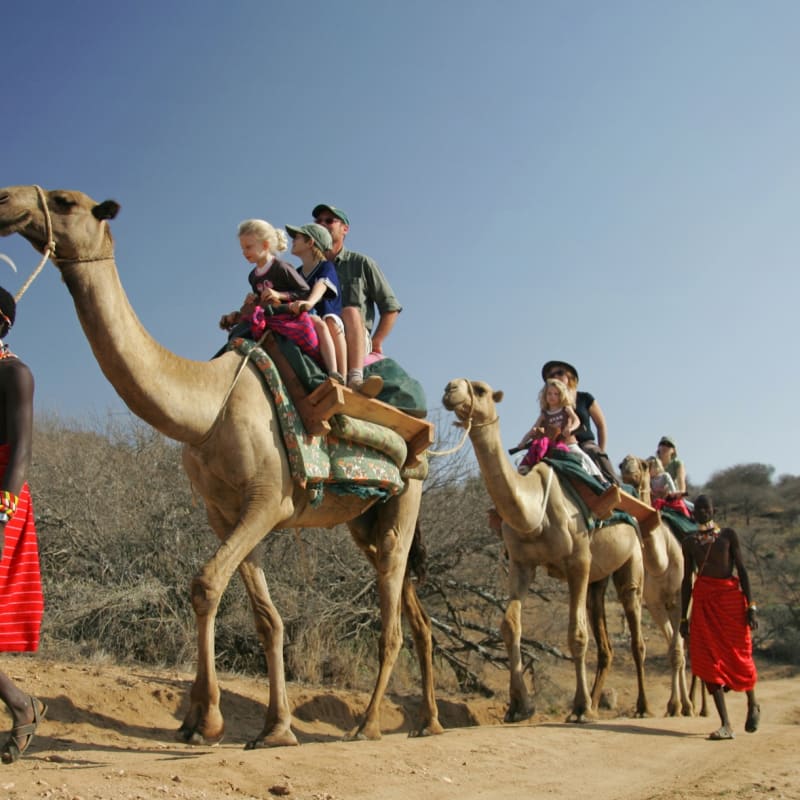 Camel ride - Laikipia and Northern Kenya