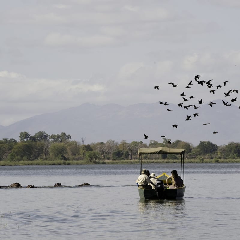 Liwonde National Park