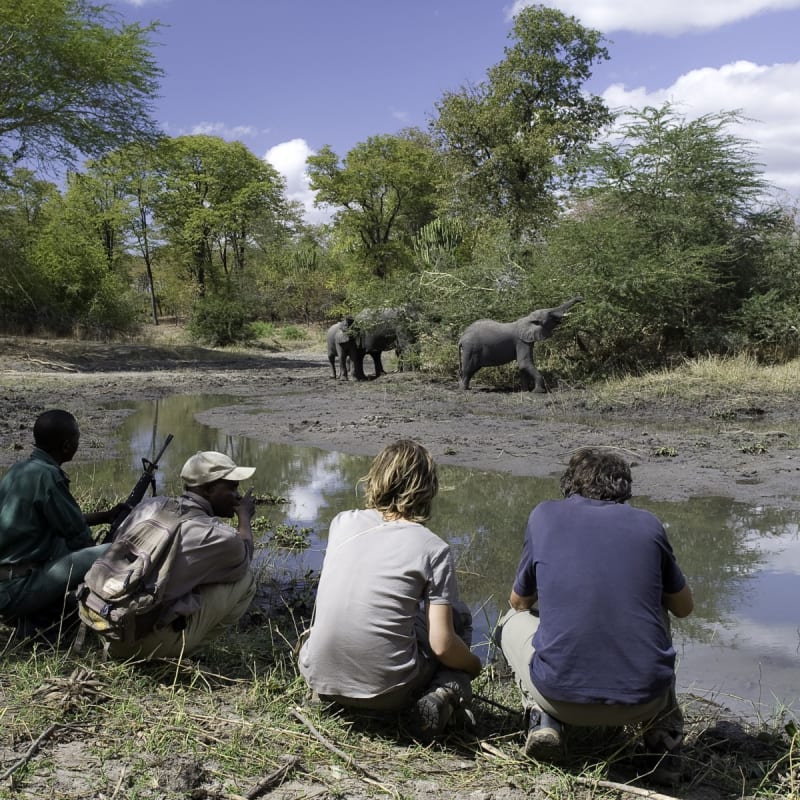 Liwonde National Park
