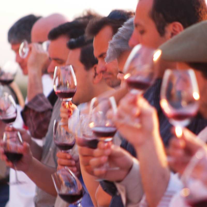 Wine tasting in Mendoza 