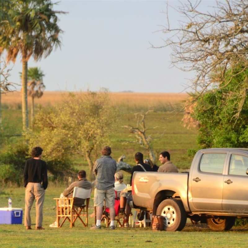 Ibera Wetlands 