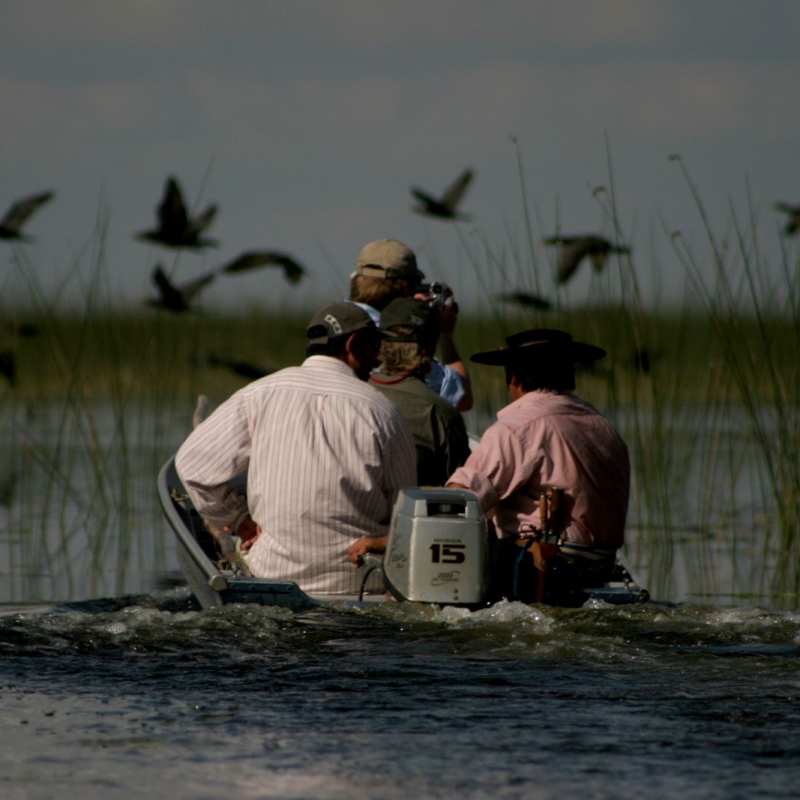 Ibera Wetlands 