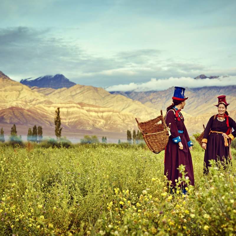 Thiskey - Ladakh