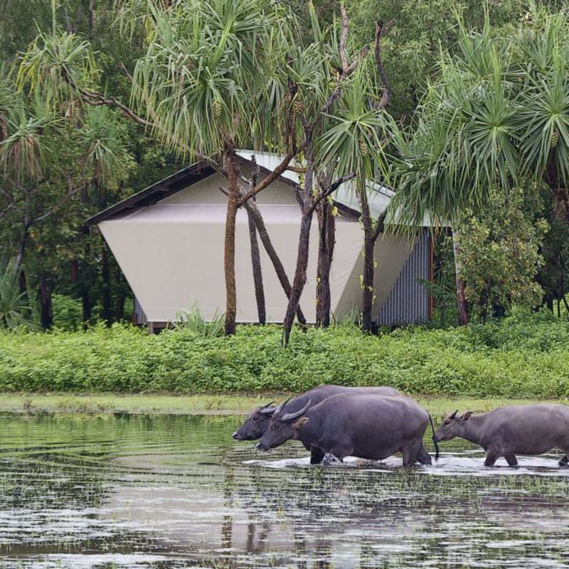 Bamurru Plains