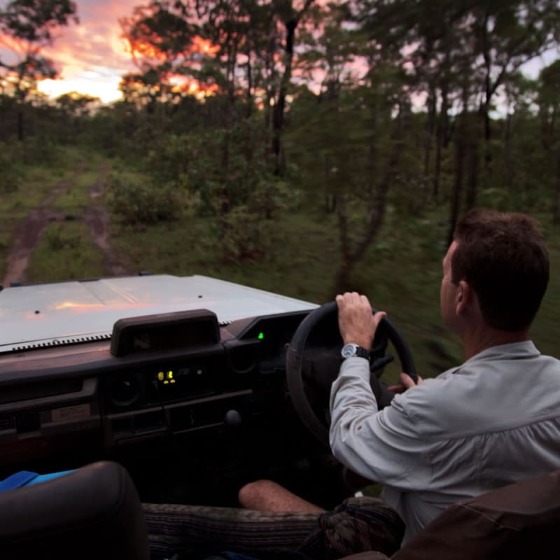 Guided tours - Bamurru Plains