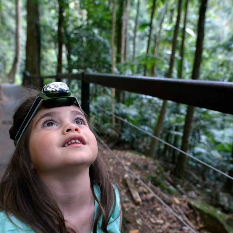 Explore the Blue Mountains National Park 