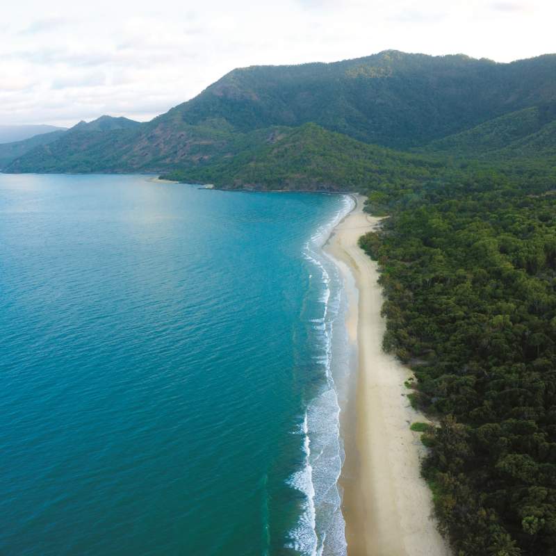 Where the rainforest meets the reef - 