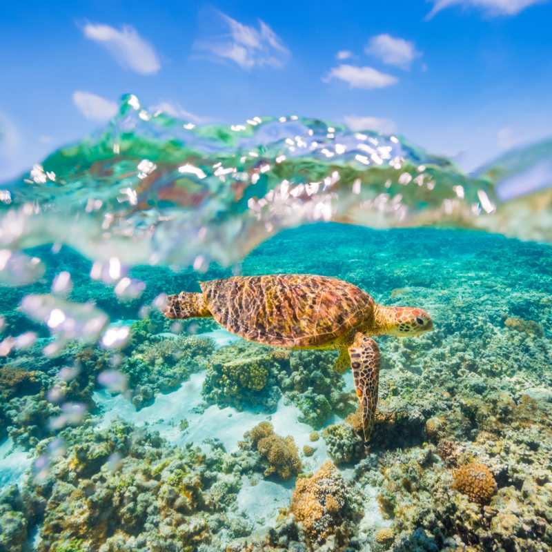 Whitsundays  - 