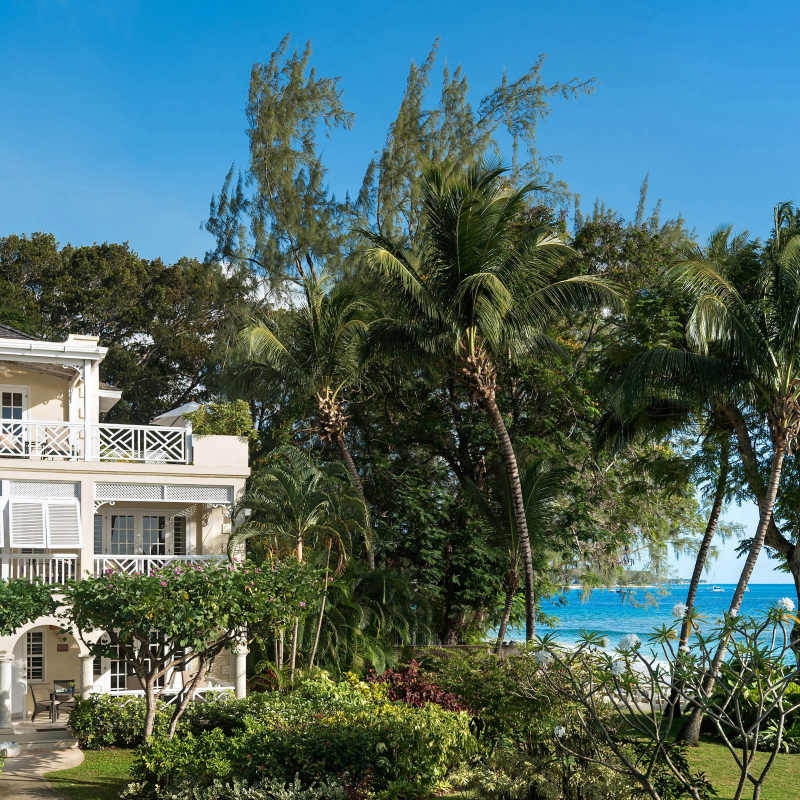 Coral Reef Club- 32