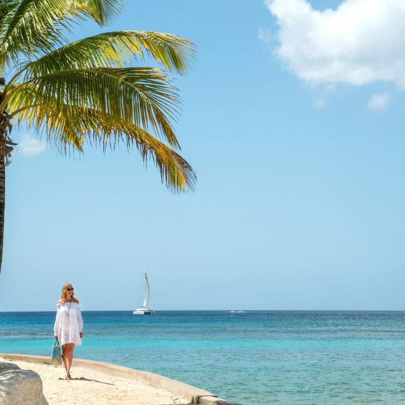 Coral Reef Club- 34