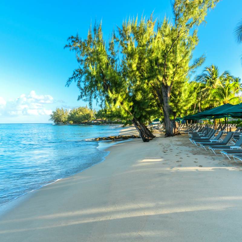 Coral Reef Club- 33