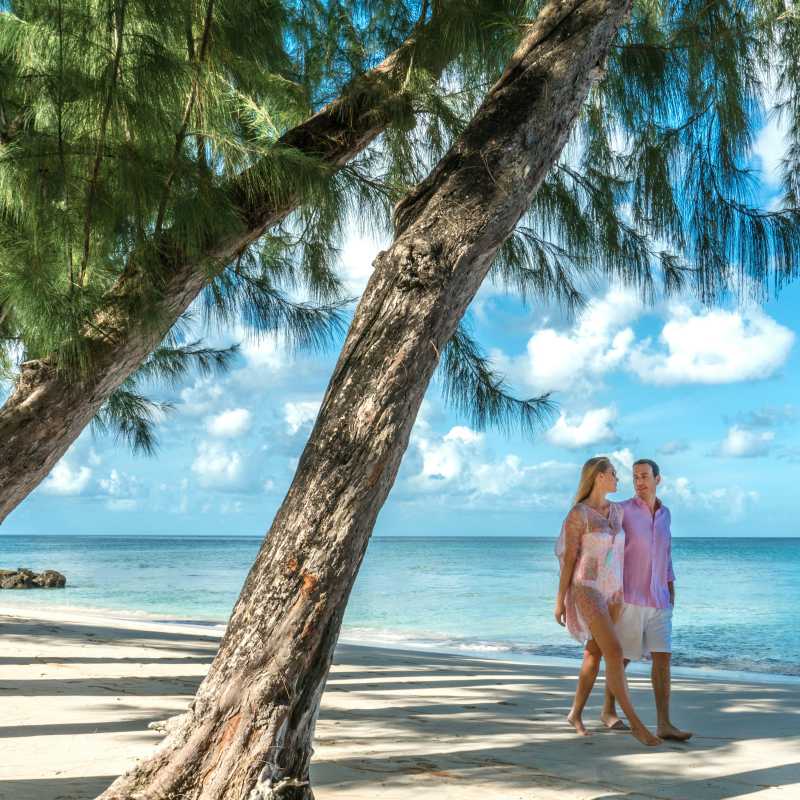 Coral Reef Club- 35