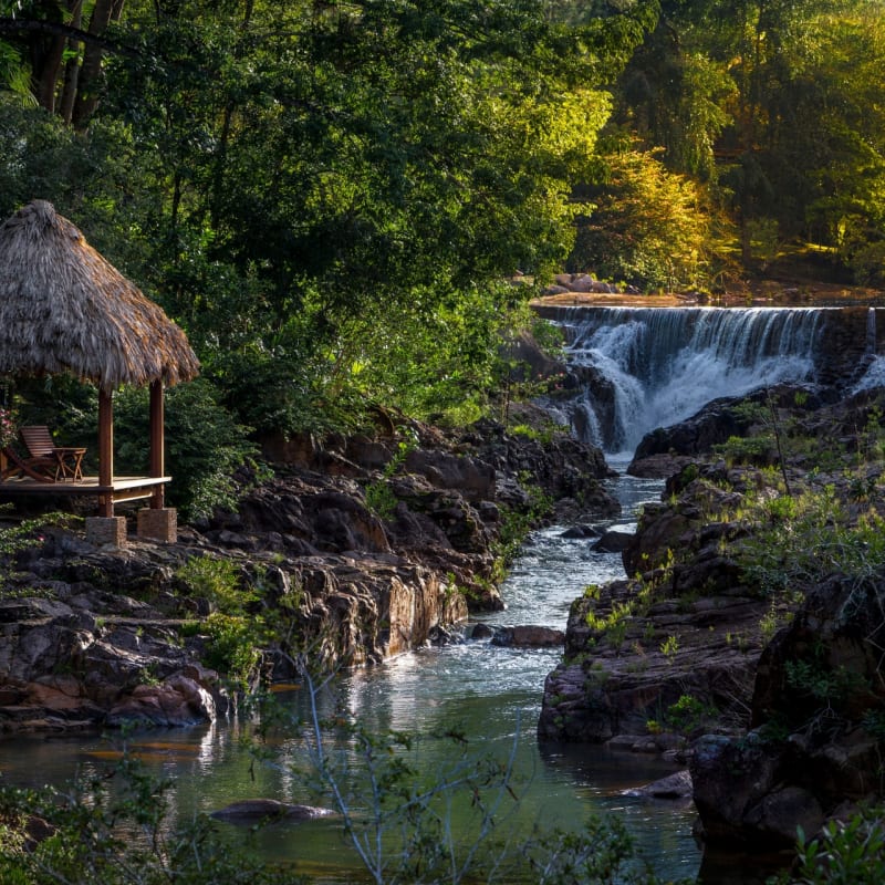 Gardens - Blancaneaux Lodge