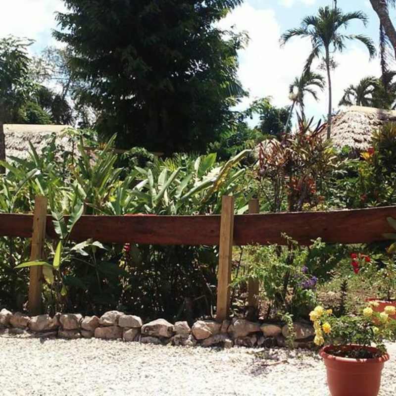 Lamanai Outpost Lodge- 8