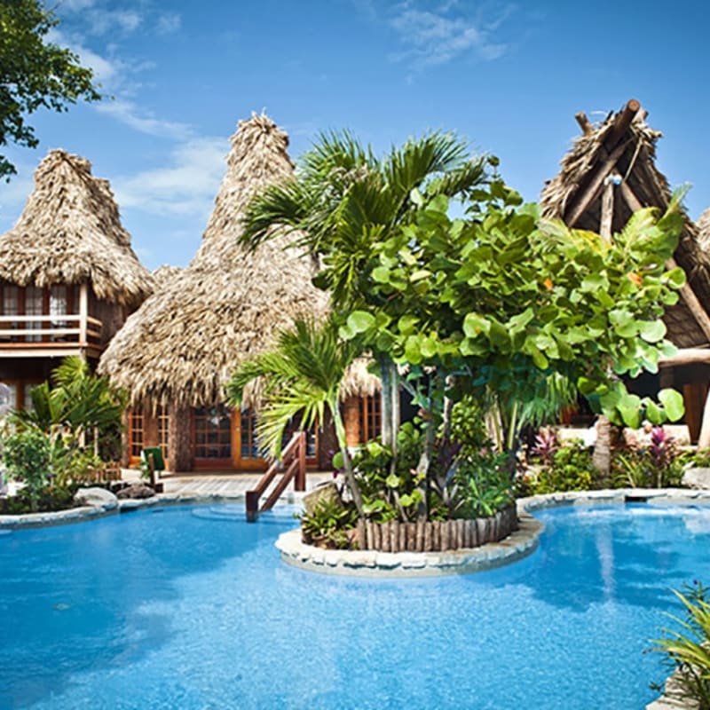 The pool  