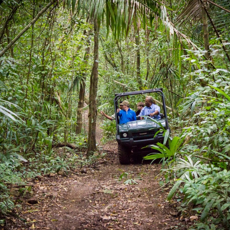 Rainforest Safari - The Lodge at Chaa Creek