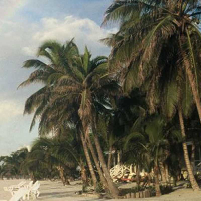 Turneffe Island Resort- 13