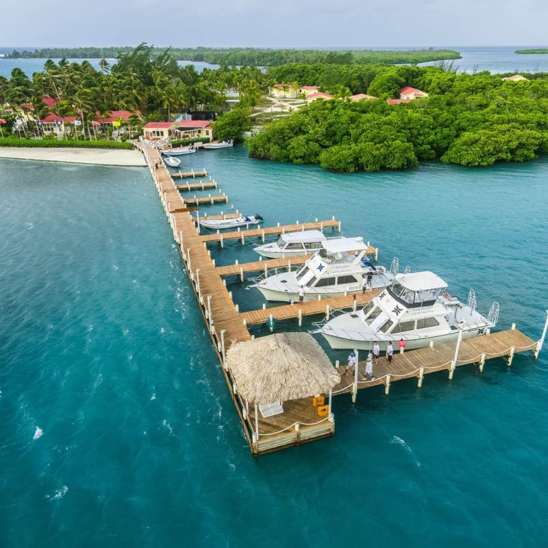Turneffe - Dive into Belize