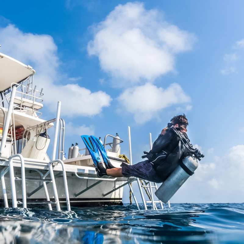 Diving at Turneffe - Dive into Belize