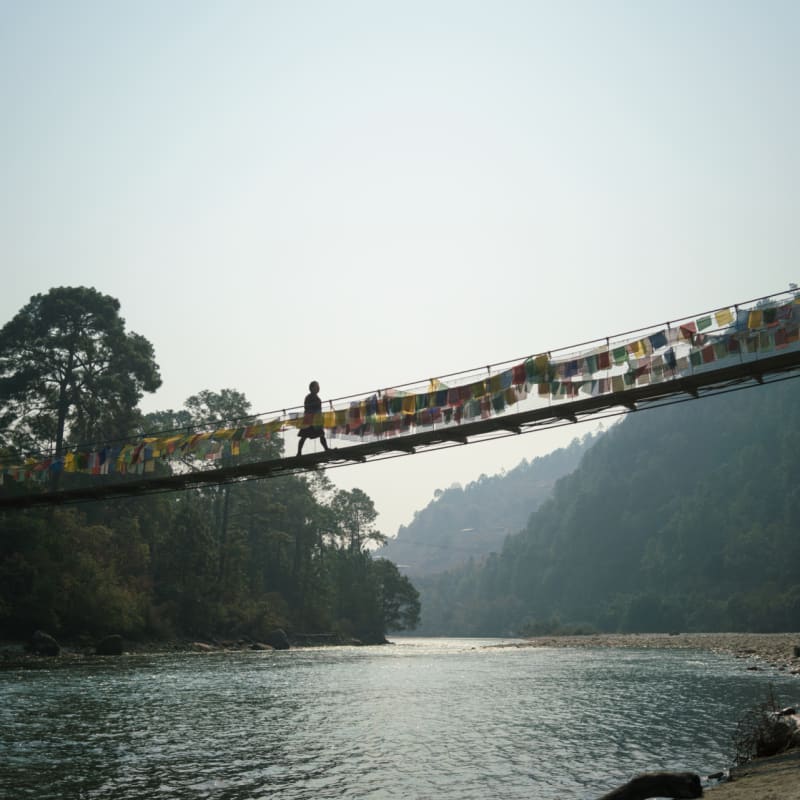 Suspension Bridge  