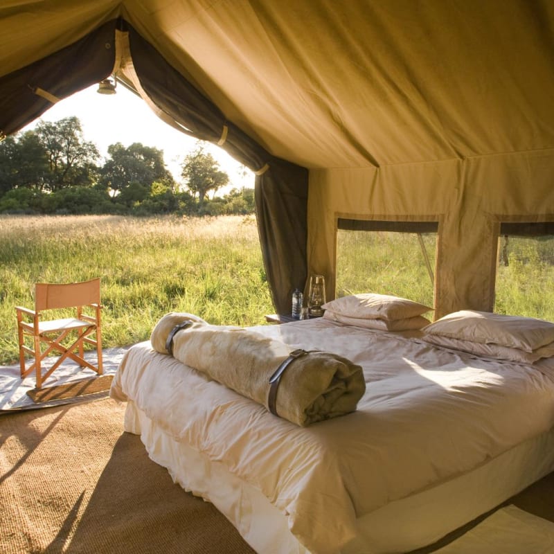 Tent Interior - Chobe Under Canvas
