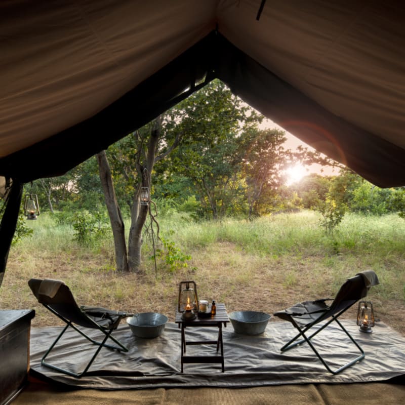 Tent View 
