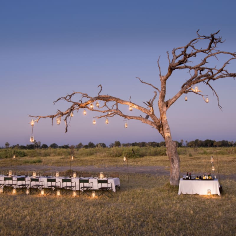 Outside dinner 
