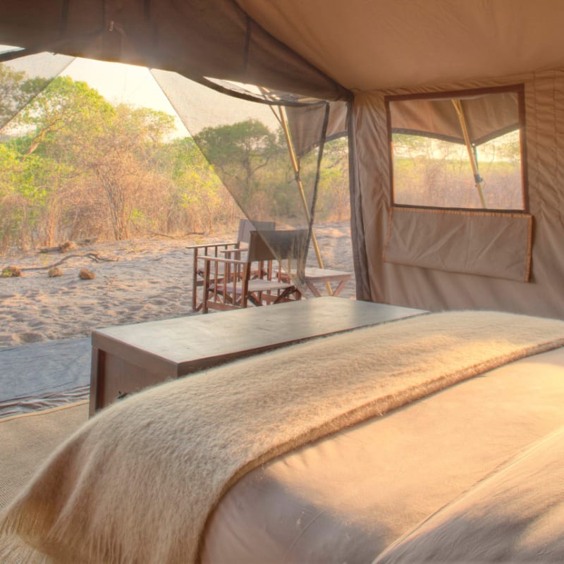 Tent 