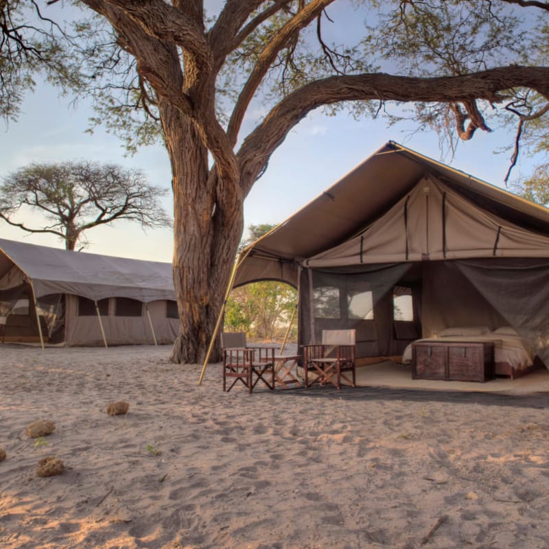 Tents 