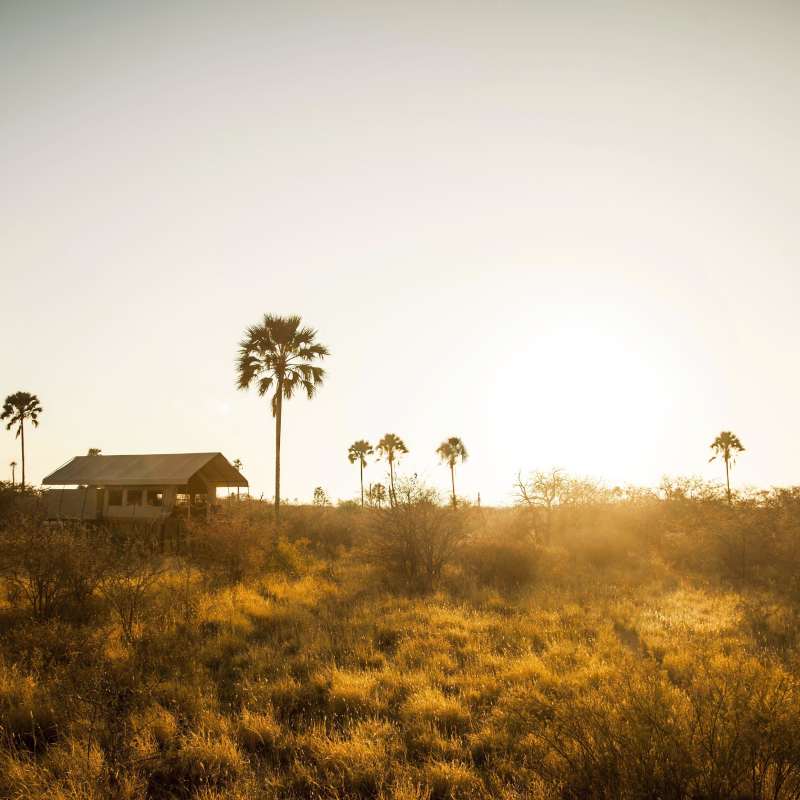 Camp Kalahari- 17