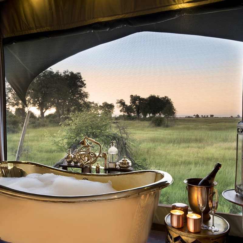 Duba Plains- 18