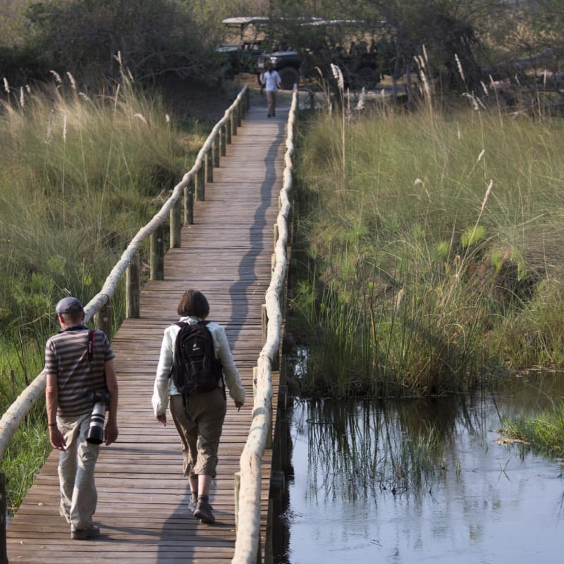 Bridge walkway into camp 
