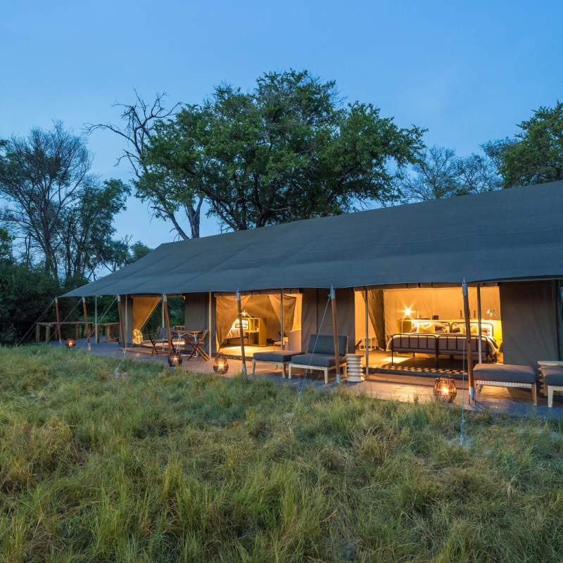 Gomoti Plains Camp- 8