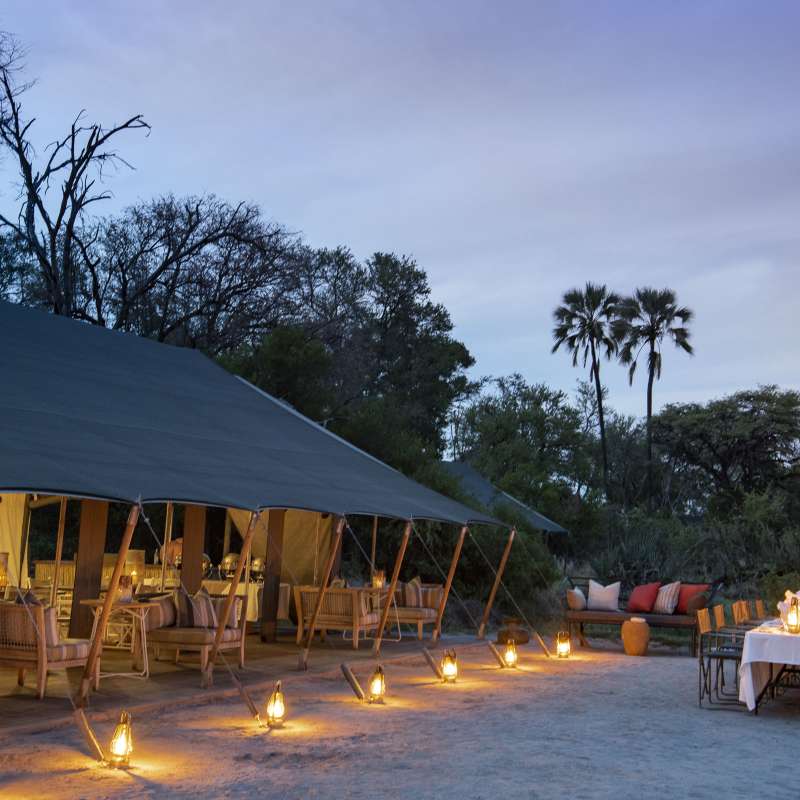 Gomoti Plains Camp- 11