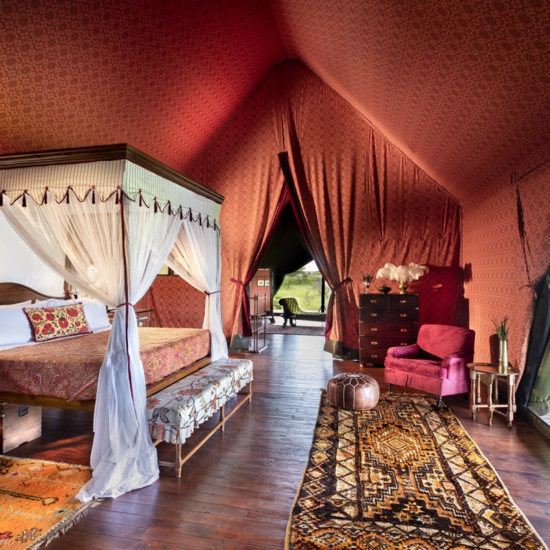 guest tent 