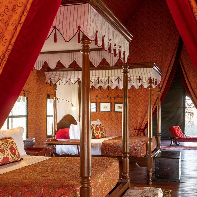 guest tent twin 