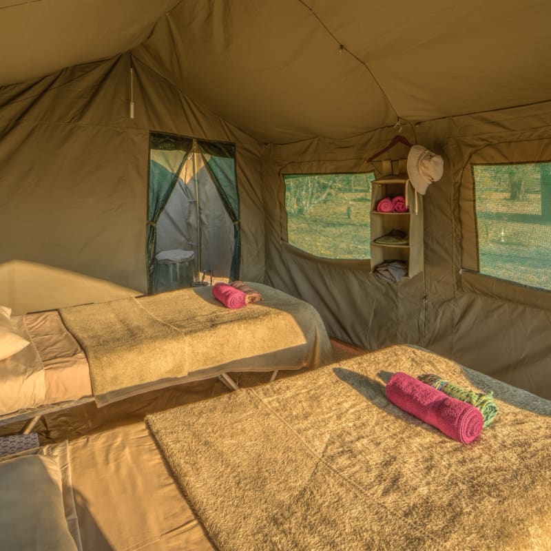 Tented room interior 