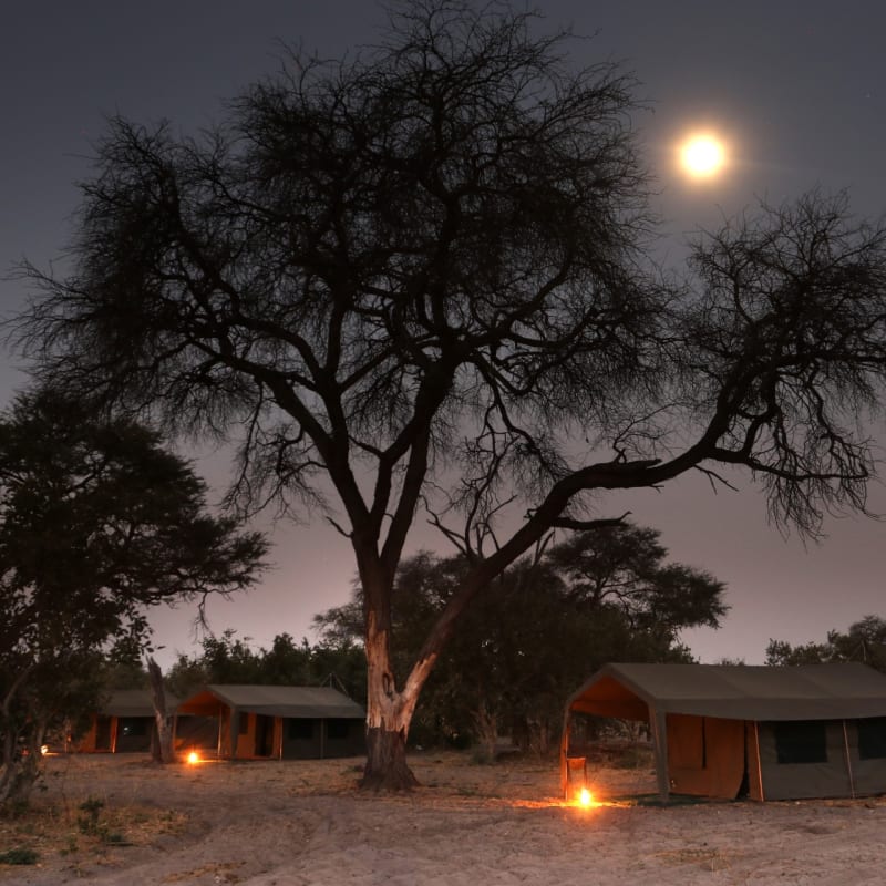 Evening in camp - Moremi