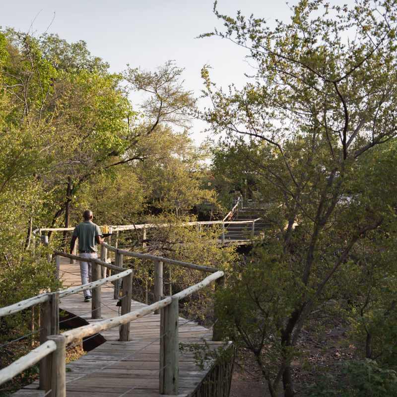 Mashatu Lodge- 9