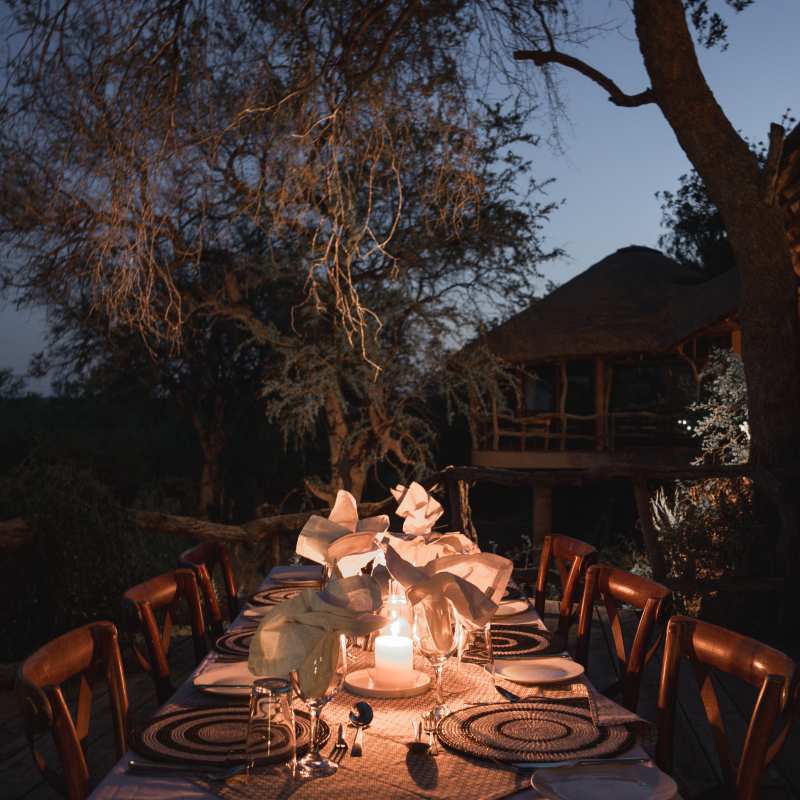Mashatu Lodge- 13