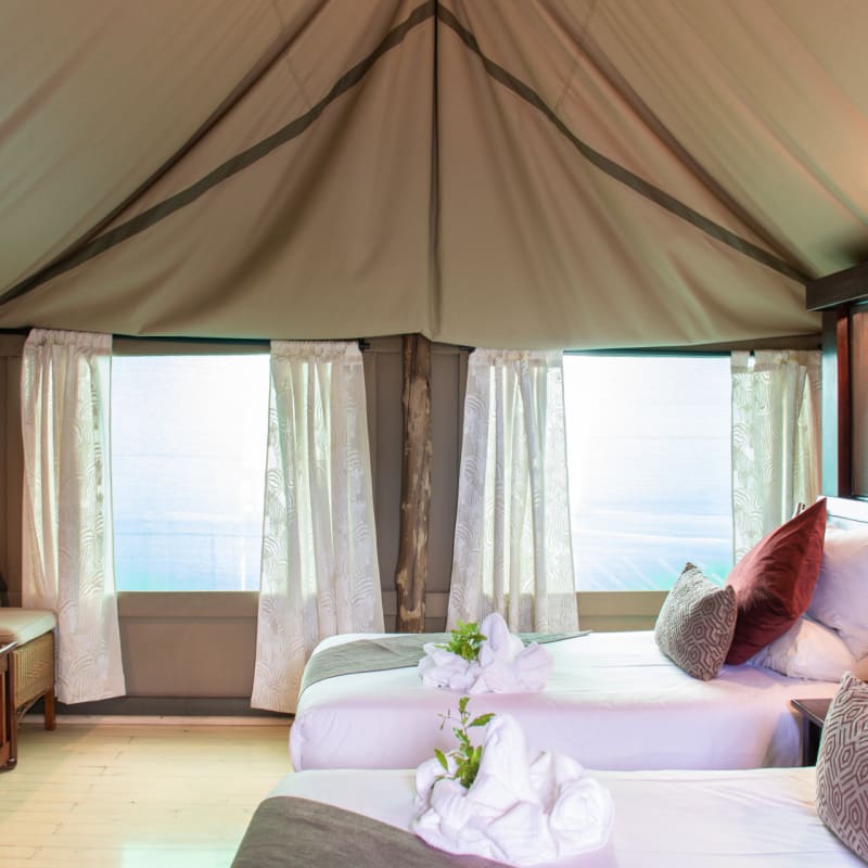 Family Tent 