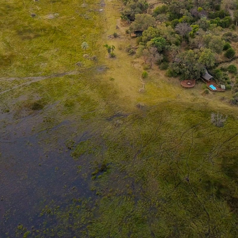 Aerial  