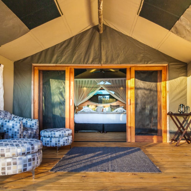 View of tent room  