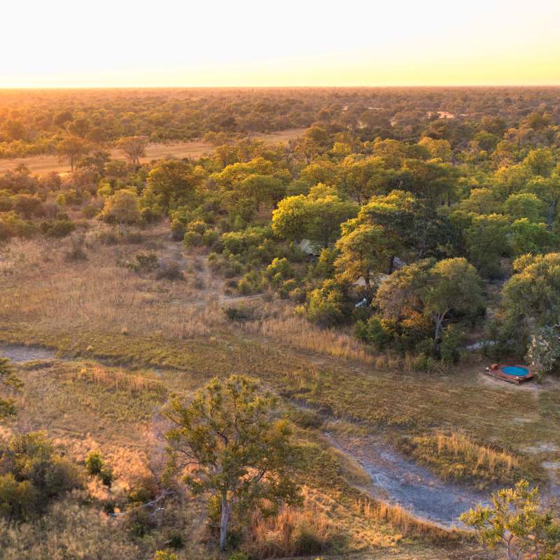 Selinda Explorers Camp- 18